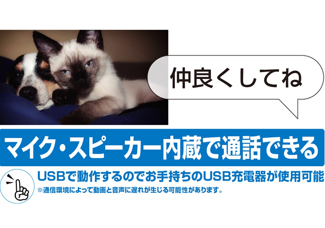  ͥåȥȥ 󿶤꥿ KJ-182