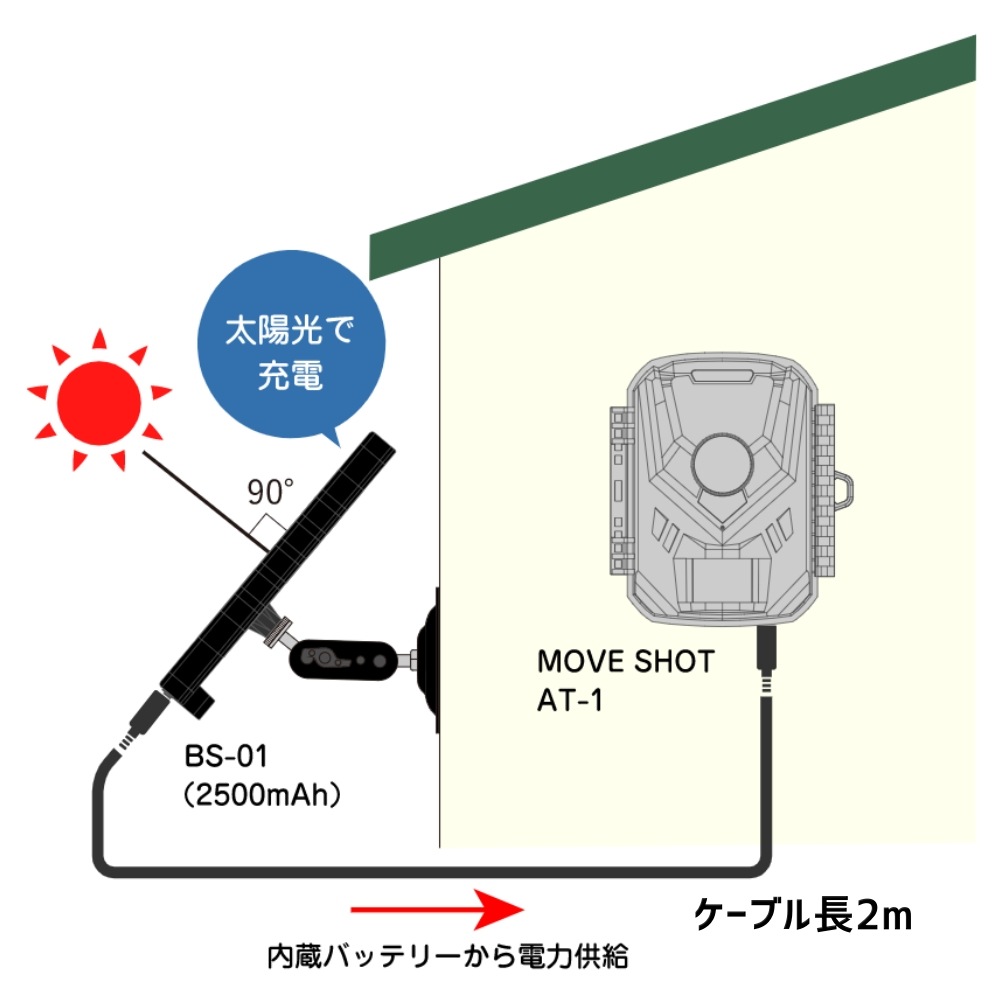 ̵ۥåȥƥॺ 륿ץ饹 ӥ󥵡饤ȥAT-1ѥ顼ѥͥХåƥ꡼ BS-01