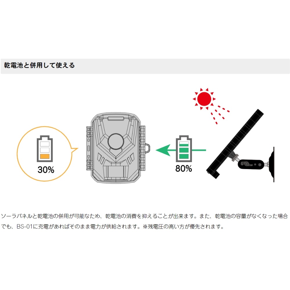 ̵ۥåȥƥॺ 륿ץ饹 ӥ󥵡饤ȥAT-1ѥ顼ѥͥХåƥ꡼ BS-01