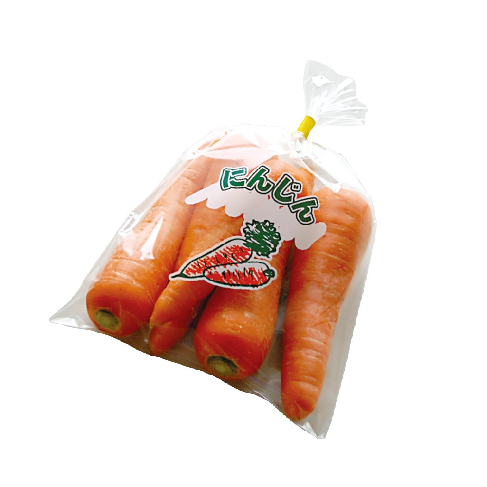 NSP にんじん（大）1 北海道産 | すべての商品 | 精工オンラインショップ