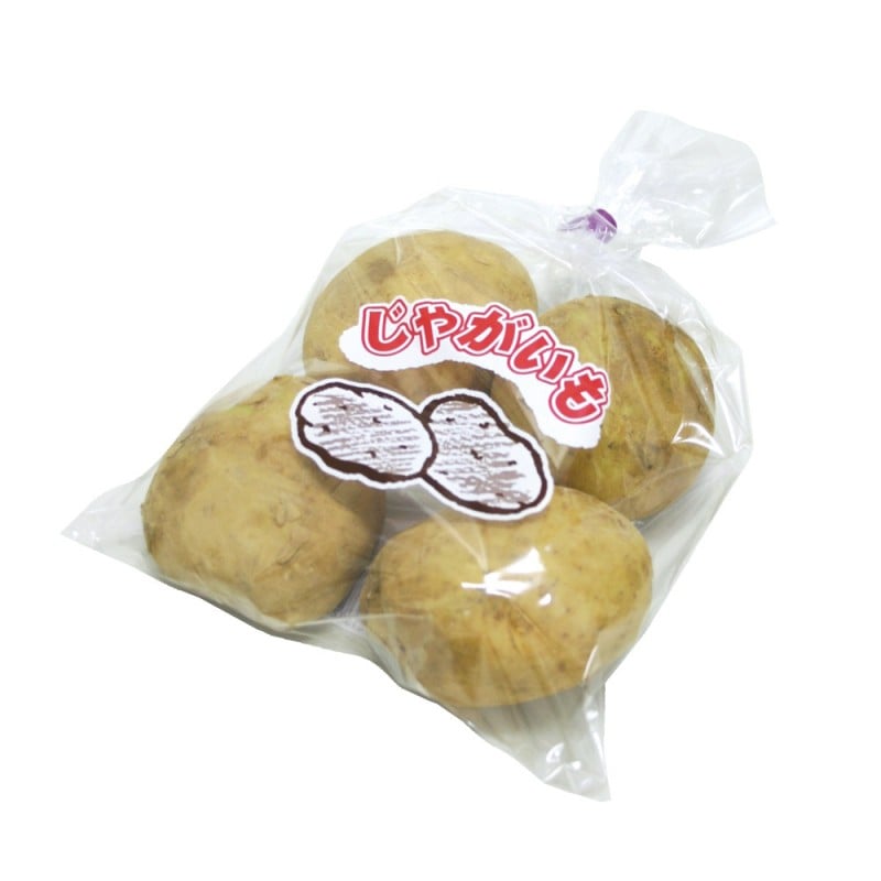 【フジシロ】ジャガイモ研究所　おまとめ品 フジシロ】ジャガイモ研究所 おまとめ品 フジシロ】ジャガイモ研究所