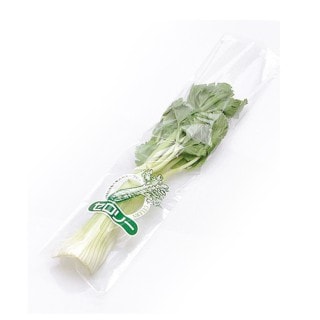 �����ѥå� ������