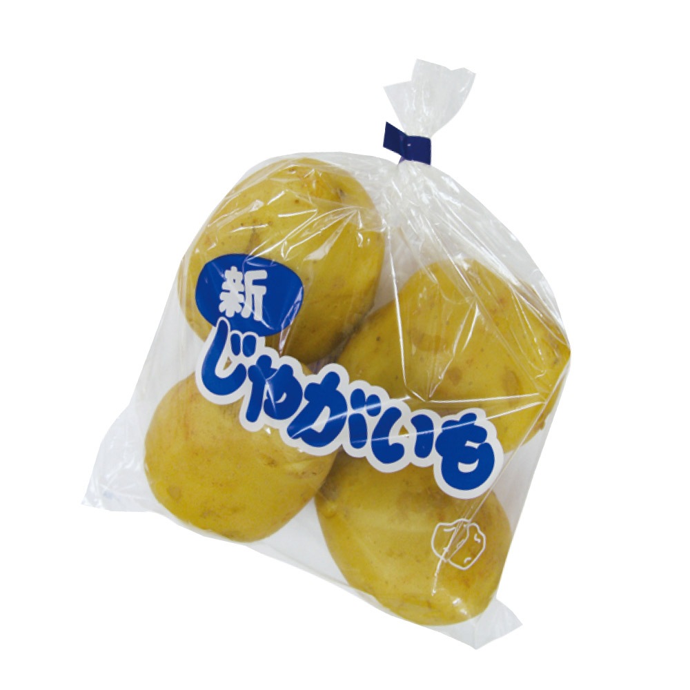 【フジシロ】ジャガイモ研究所　おまとめ品 フジシロ様専用】ジャガイモ研究所 おまとめ品 【公式通販】