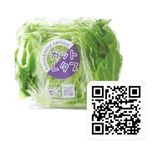 åȥ쥿QR