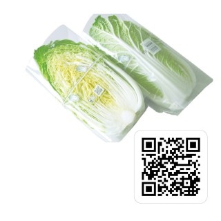 1/2 ��ڥ��å� 300��550 �ơ�����