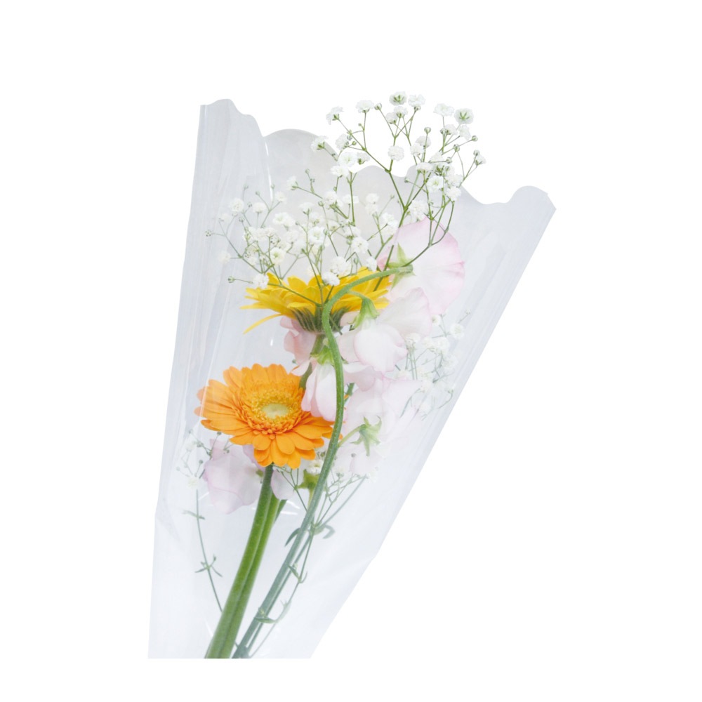 ������ FB-502550