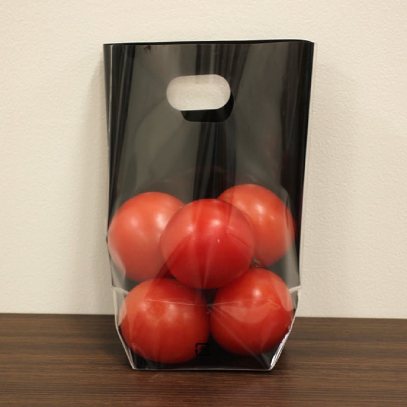 レターパックプラス　40枚 40枚レターパックプラス 60サイズ 日本郵便 レターパック プラス 600