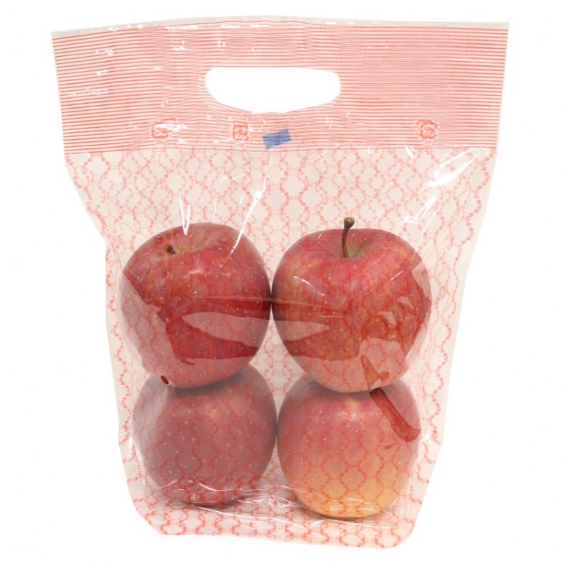 SSP�ͥå���-1