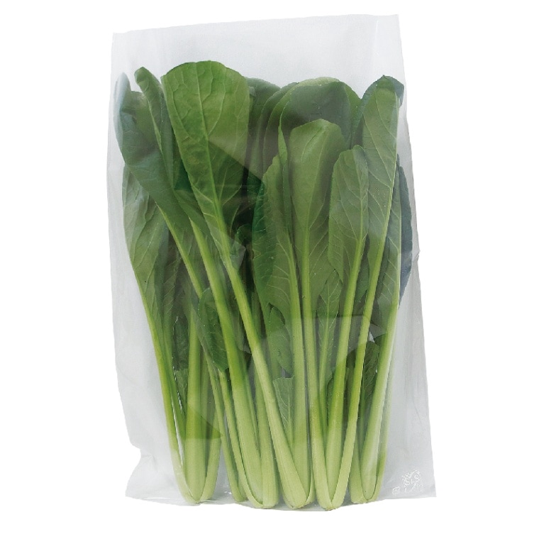 S&S�����ݻ��ե���� #20 13�� 4H