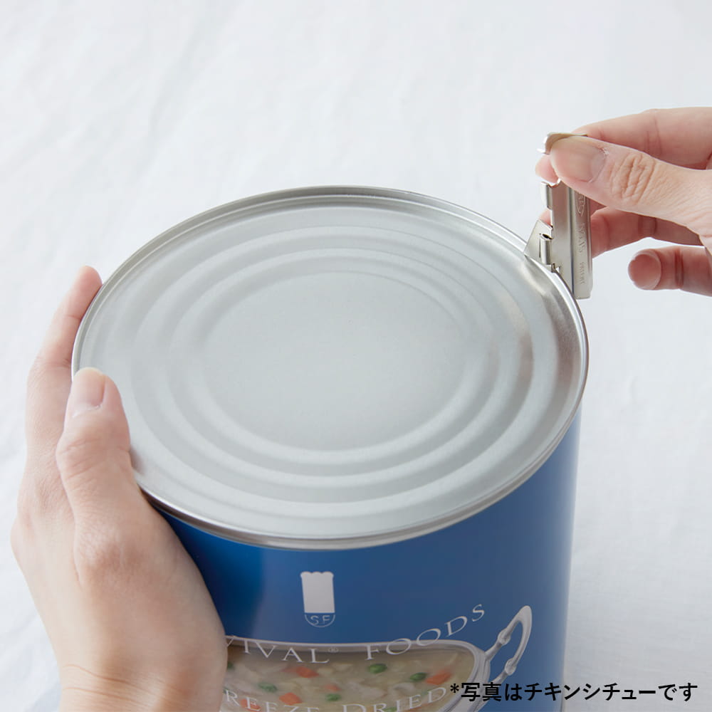 [卸売(まとめ買い割引10％オフ / 5～14セットまで)][大缶（1号缶）]野菜シチューのファミリーセット（6缶詰め合わせ/非常食セット）｜サバイバルフーズ