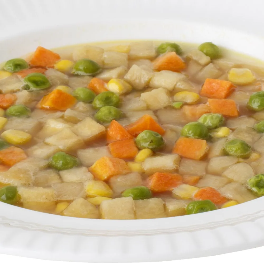 [大缶]チキンシチュー と 野菜シチュー のセット（6缶詰め合わせ/非常食セット）｜サバイバルフーズ（約60食相当量）