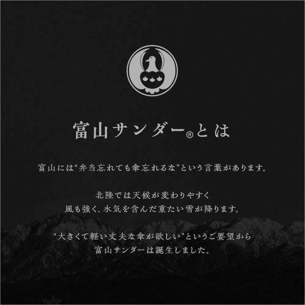 《長傘/FRP強化骨採用》富山サンダー20本骨（親骨65cm/重量575g/超撥水加工済）全3色｜ブランド：Waterfront（ウォーターフロント）
