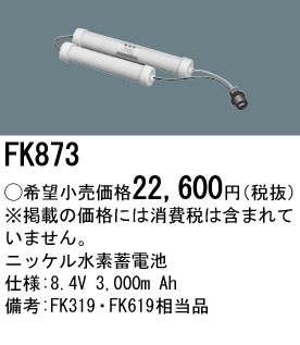 �ѥʥ��˥å� FK873�����ʡ�ߴ��ʡ� ͶƳ��������Ѿ������-������ �Хåƥ꡼