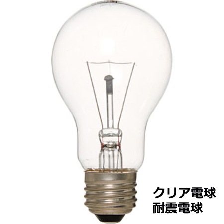 ���Υ饤�ƥå� L110V100W �ѿ� ���ꥢ�ŵ���ѿ̡�