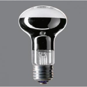 �����佪λ�ʡ������ʤ����ѥʥ��˥å� RF100V54W/D ����ŵ�ʲ����ѡ� 60W�� E26����
