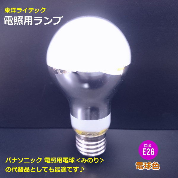 ���Υ饤�ƥå� DENS100/110V75W/TC �ž����ŵ� 75W�� �ѥʥ��˥å� �ߤΤ��ŵ�������