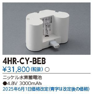 ��� 4HR-CY-BEB ͶƳ��������Ѿ������-������ �Хåƥ꡼