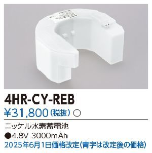��� 4HR-CY-REB ͶƳ��������Ѿ������-������ �Хåƥ꡼