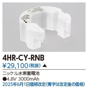 ��� 4HR-CY-RNB ͶƳ��������Ѿ������-������ �Хåƥ꡼