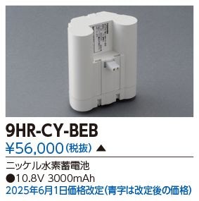 ��� 9HR-CY-BEB ͶƳ��������Ѿ������-������ �Хåƥ꡼