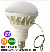 ����᥿�빩�ȡʥȡ���� LDR30NE39-TM �����ѣ̣ţ��ŵ��200w����E39�����