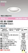 �����ǥ�å� OD361529NR ������饤����Ǯ��100�׷������������100������5000K���ɱ�������Ĵ��