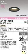�����ǥ�å� OD361809R LED���η�������饤����Ǯ��100�׷����� ���ο��֥�å��������75�� �ŵ忧2700K�����Ĵ����