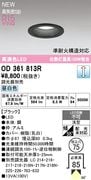 �����ǥ�å� OD361813R LED���η�������饤����Ǯ��100�׷����� ���ο��֥�å��������75�� ����5000K���Ĵ�������ס�