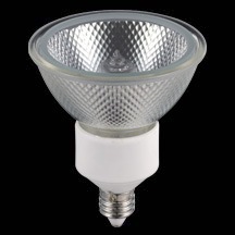 �����佪λ�ʡ���� JDR110V40W/K5M/N �ͥ��ϥ��ӡ��� �ϥ�������ס���ѡ�60W��