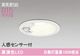 �����ǥ�å� OD261837R LED���η�������饤����Ǯ��100�׷����� ���ο����եۥ磻�ȡ������100�� ���� 5000K��ڿʹ����󥵡��ա���Ĵ��