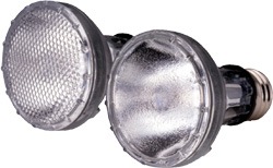 PHILIPS MASTER Colour メタルハライドランプ フィリップス(PHILIPS) マスターカラー CDM-R 70W/830 PAR30L 10
