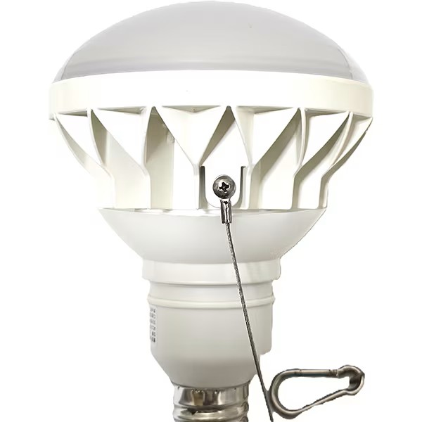 ����᥿�빩�ȡʥȡ���� LDR30NE39-TM �����ѣ̣ţ��ŵ��200w����E39�����