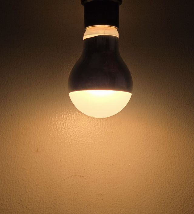 ����᥿�빩�� Plant110V71WTM �ž����ŵ�<E26����> 100W��  �ѥʥ��˥å� �ߤΤ��ŵ�������