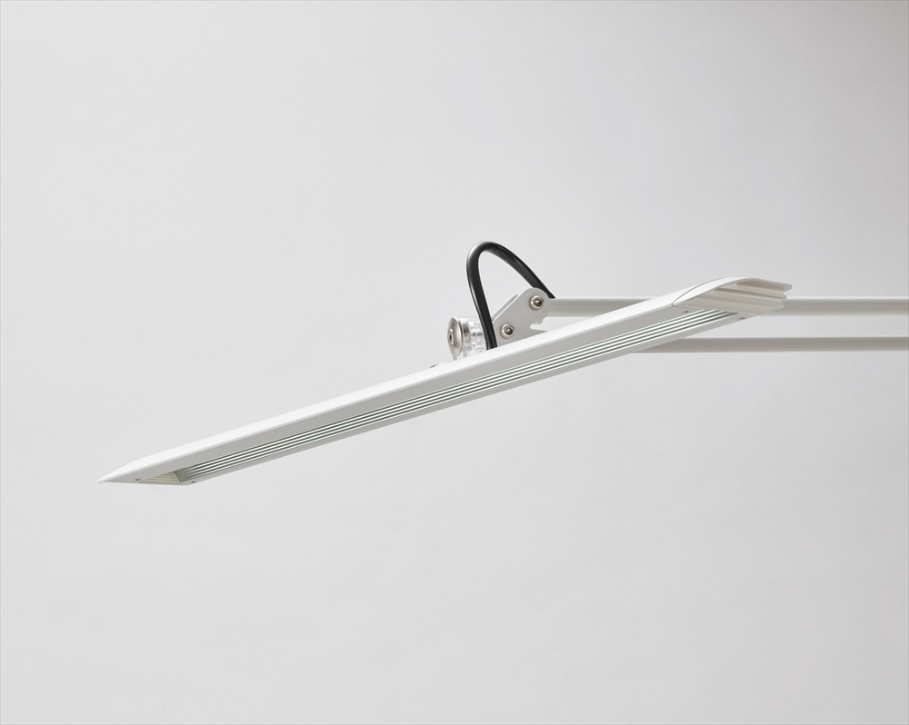 ���ľ��� Z-�饤�ȡ�Z-LIGHT��Z-10G W��Z-10G W�� �ۥ磻�� LED�ǥ����������