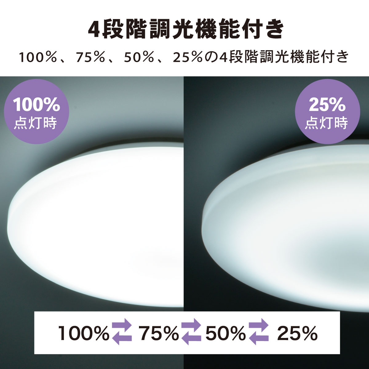 �������ŵ� LE-Y36D8G-W4 �̣ţĥߥɥ륵����������󥰥饤�ȡʣ���cm�������ѡ��������