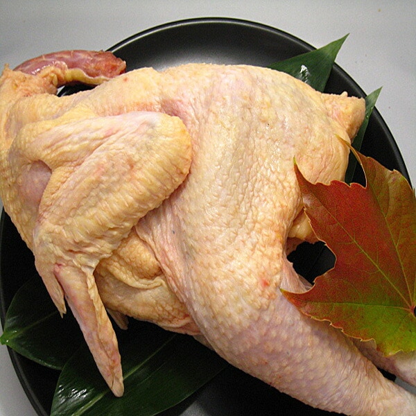 【最優秀賞受賞鶏】信州黄金シャモ　中抜き丸　1羽