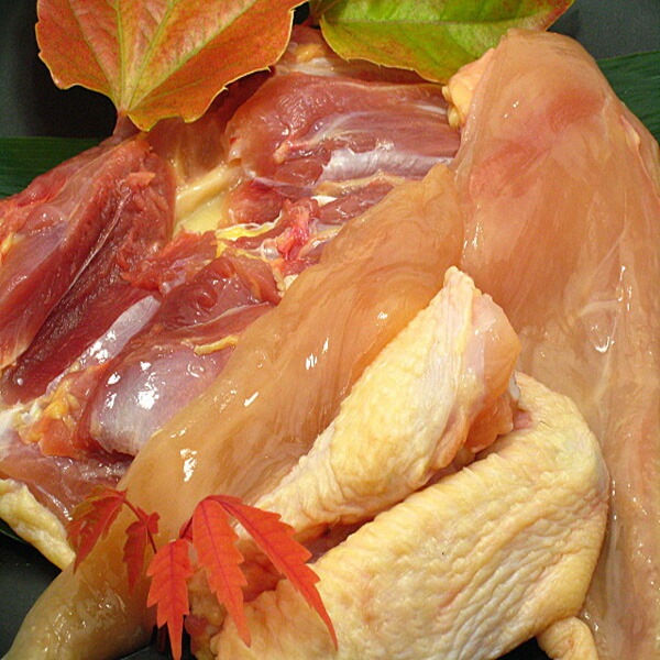 信州黄金（おうごん）シャモ　正肉セット（ムネ２枚、モモ１枚）