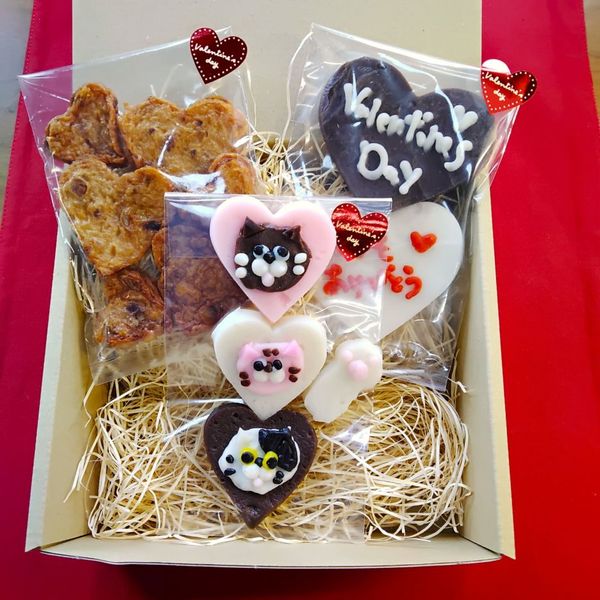 �Х�󥿥���ˤ�󥻥åȡ�3�����