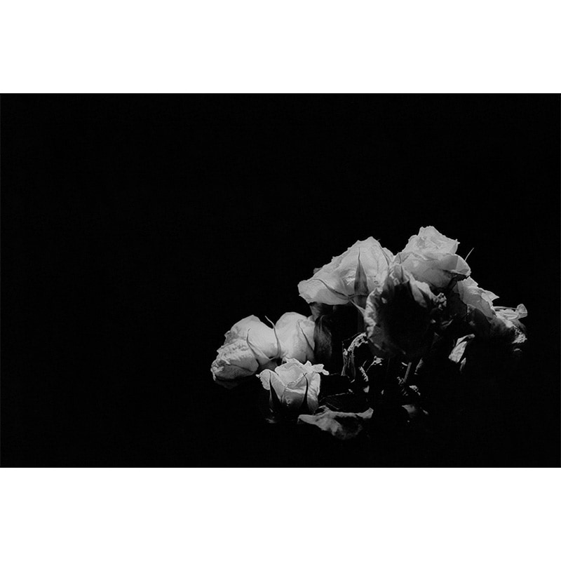 sakiko SILENCE「静寂の時」