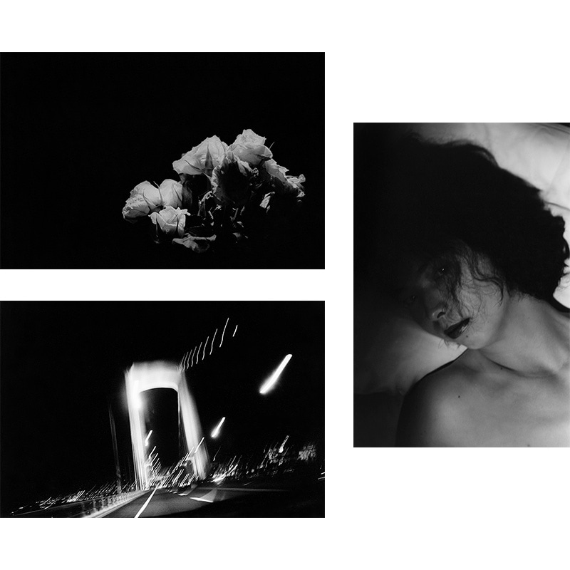 sakiko SILENCE/NIGHT/DIVE 3本セット