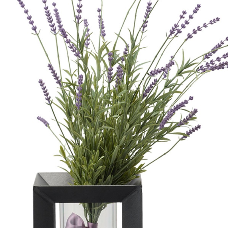 16_000000001998.jpg?1771918596