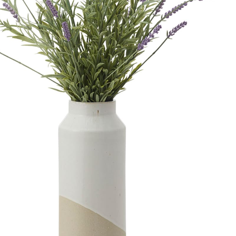 22_000000001998.jpg?1771918596