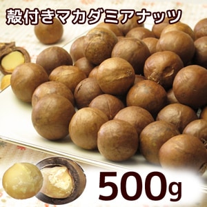 ���դ��������� �ޥ����ߥ��ʥå� 500��