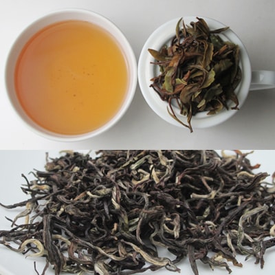 プレミアム ニルギリ紅茶 Glendale Twirl ♯51 （グレンデール