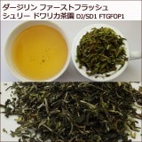 ��������� 2017ǯ �ե������ȥե�å��� ����꡼ �ɥ�ꥫ��� 100�� (50�� �� 2��) DJ/SD1 FTGFOP1