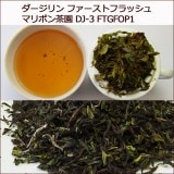 ��������� 2017ǯ �ե������ȥե�å��� �ޥ�ܥ���� 50�� DJ-3 FTGFOP1