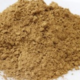 ʴ  200 (50  4ޡ ̳ۡѡ