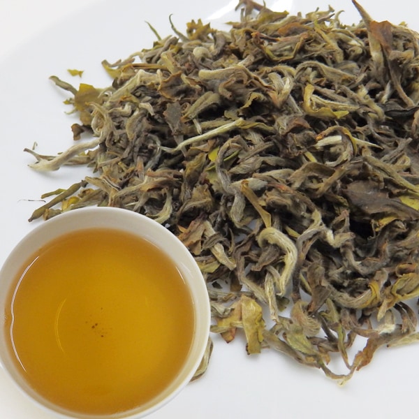 ��������� 2019ǯ �ե������ȥե�å��� �ޡ�����åĥۡ������ 40�� (20�� x 2��) DJ-5 FTGFOP1(Moonlight)