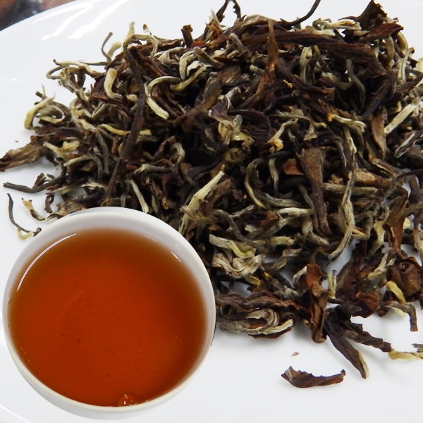 ��������� 2019ǯ ������ɥե�å��� �ե������ 20�� DJ-97 Moonlight