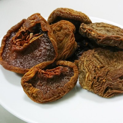 �ɥ饤�ե롼�� �ͥ������ �ʥե꡼���ȡ���˥ۡ��� 80�� [S2]